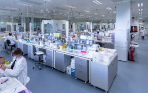 Les laboratoires de biologie d'Oncodesign Les laboratoires de biologie d'Oncodesign