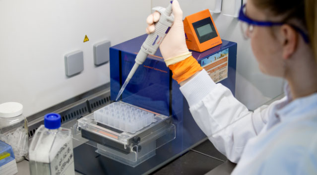 Un accompagnement sur mesure - Oncodesign