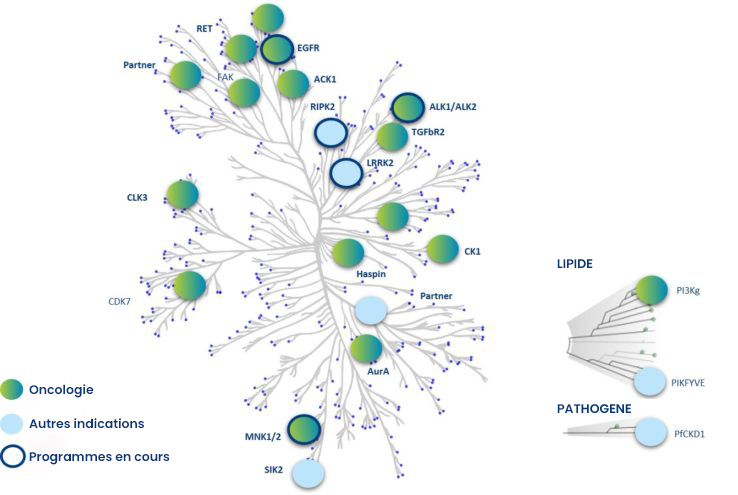 inhibiteurs-de-kinases-FR