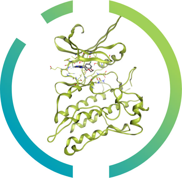 kinases-nanocyclix
