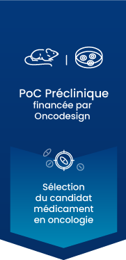 phase-clinique