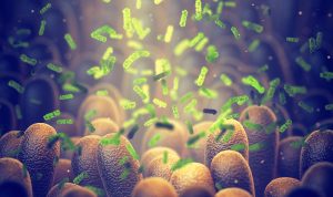 Webinar: Preclinical Models for Microbiome Research in Oncology and Inflammatory Diseases