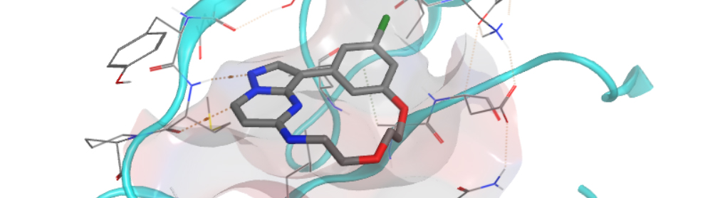 A molecule in the active site of RIPK2