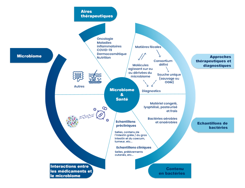 Microbiome et santé, domaine d'expertise de l'étude du rôle du microbime | Oncodesign