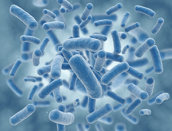 microbiome visuel