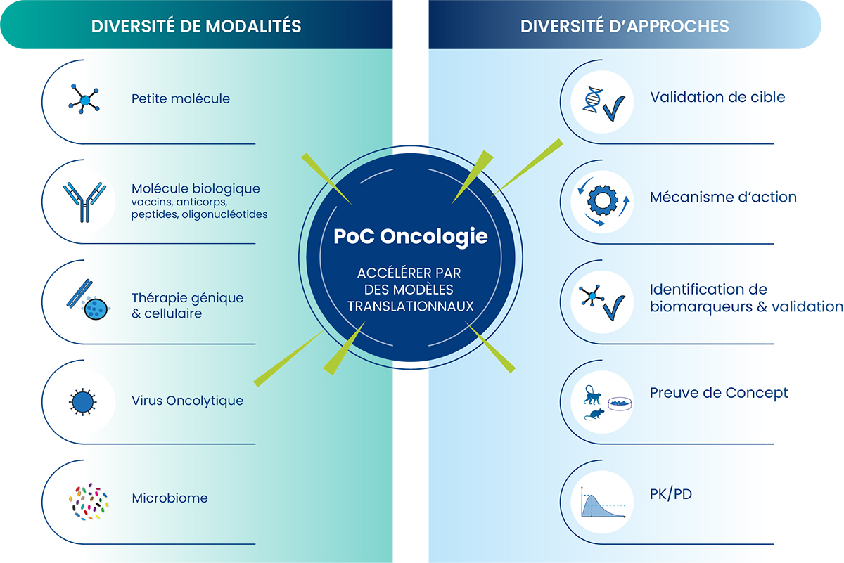 Prevue de concept (PoC) en oncologie | Un large choix de modalités et d'approches |Oncodesign