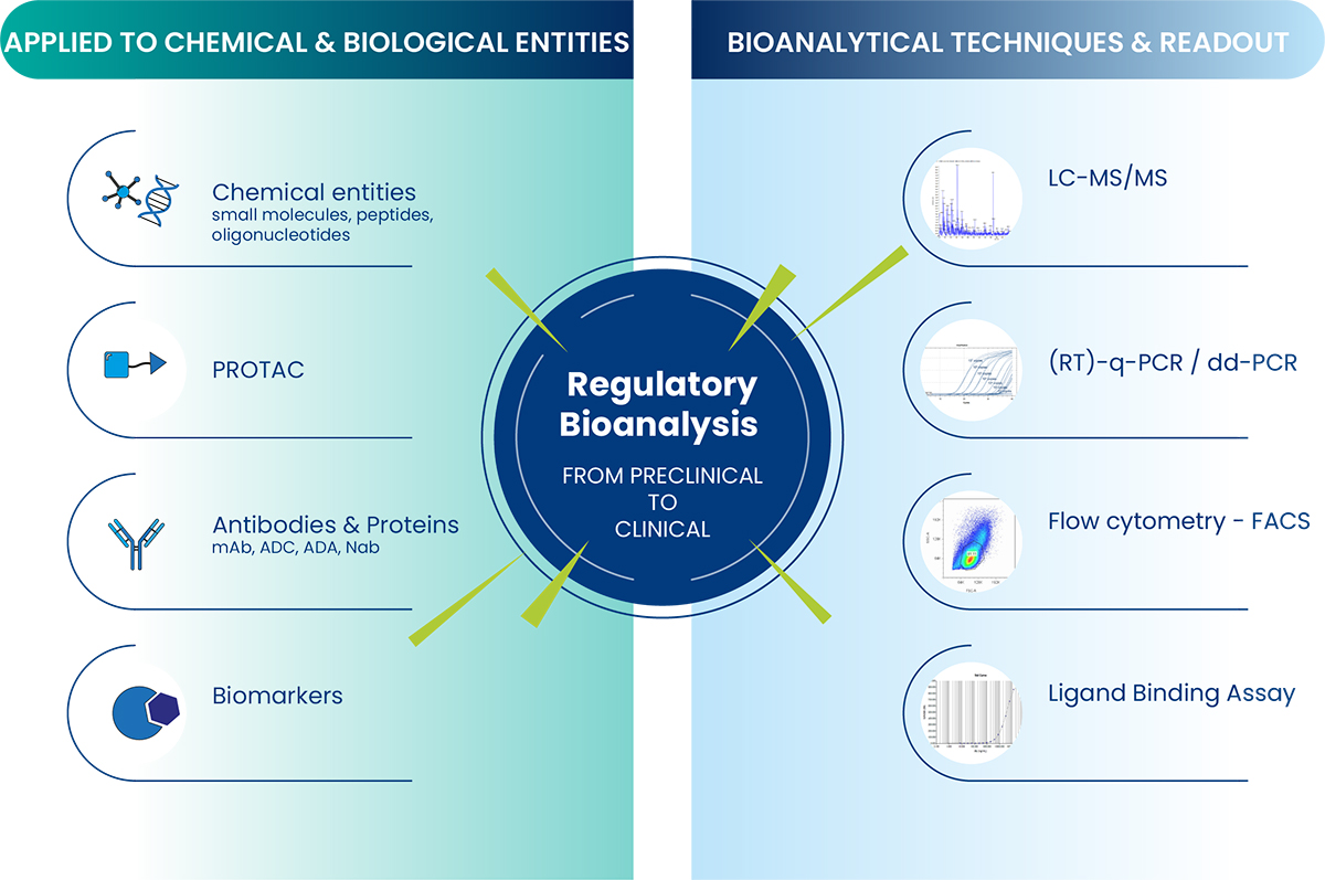 Regulatory Bioanalysis available with a various techniques | Oncodesign