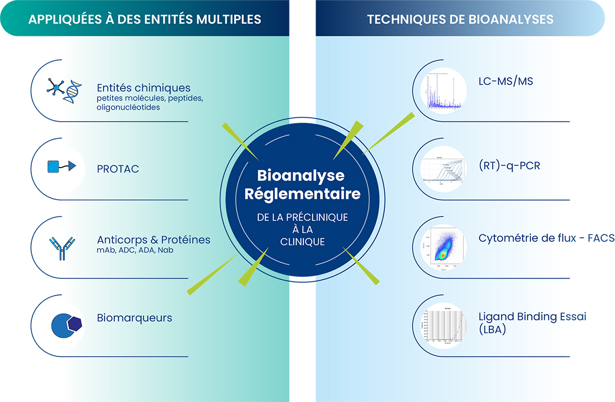 Bioanalyse Réglementaire, un large choix de méthode pour vos molécules chimiques ou biologiques