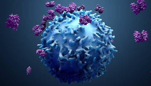 3d illustration proteins with lymphocytes , t cells or cancer ce