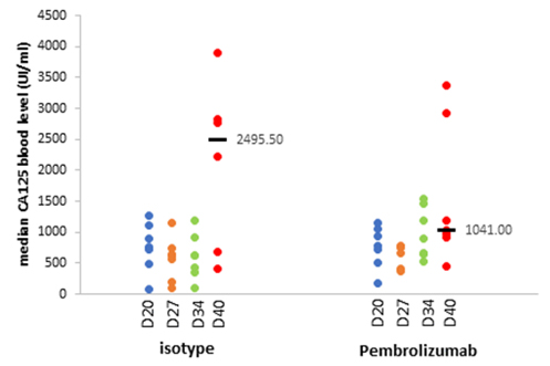 Efficacy of immune checkpoint inhibitor in humanized (chi-mice) mouse model | Oncodesign