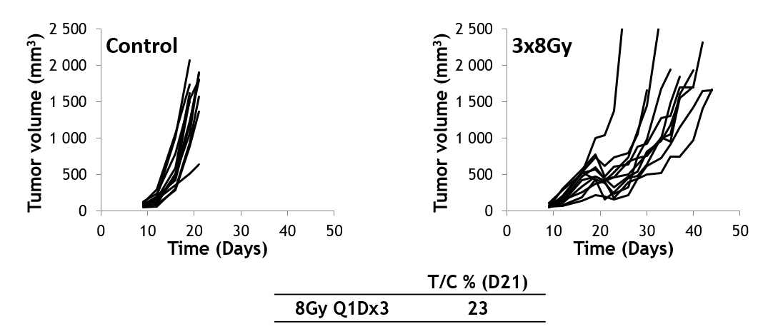 Tumor localized radiotherapy on syngeneic mice with CT-26 murine colon tumor cells | Oncodesign