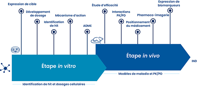 Processus typique de découverte de médicament avec INPACT | Oncodesign