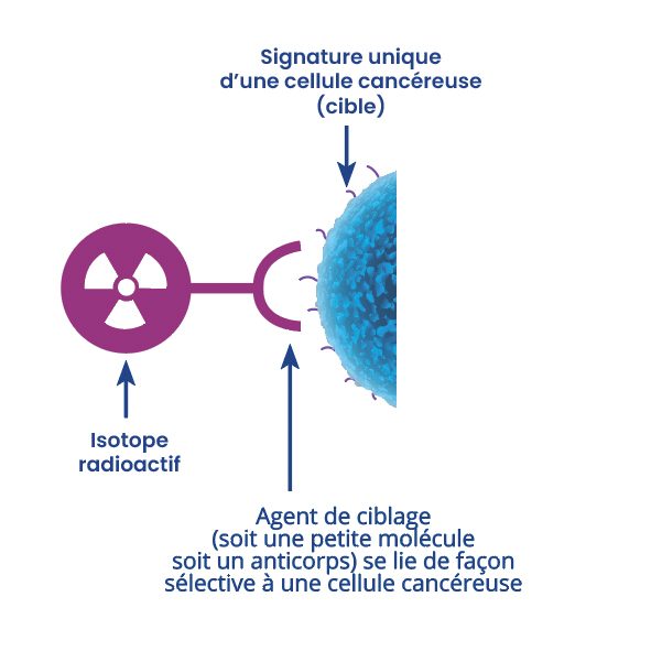 Théranostique vient de la contraction de thérapie et diagnostic